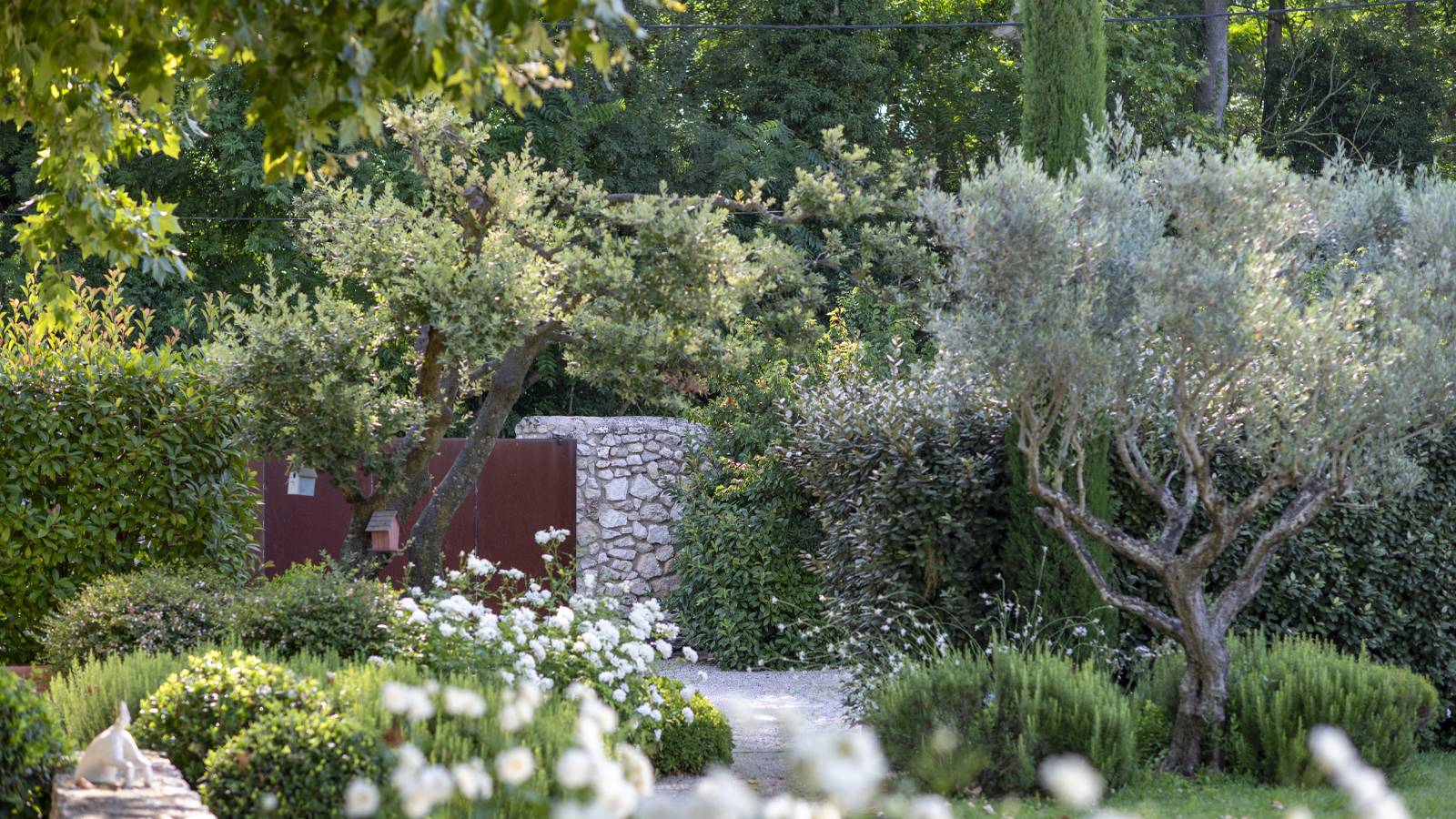 aménagement jardin provencal architecte Eygalières