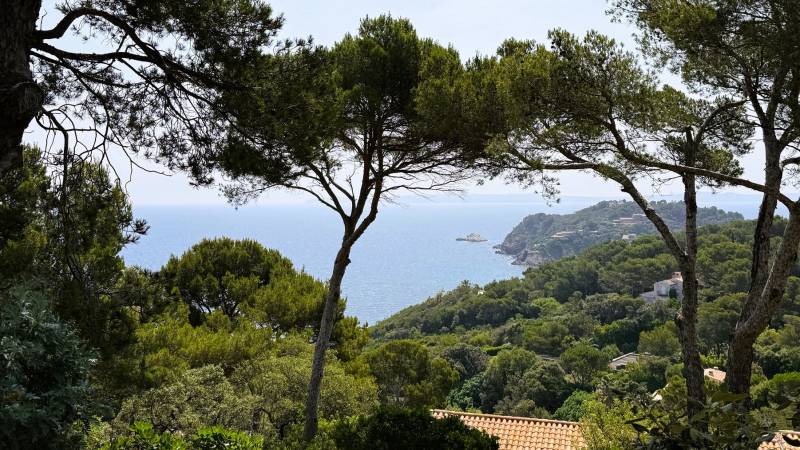 Le conseil indépendant et l’expertise technique de l'architecte pour sécuriser l’achat d’un bien immobilier de luxe